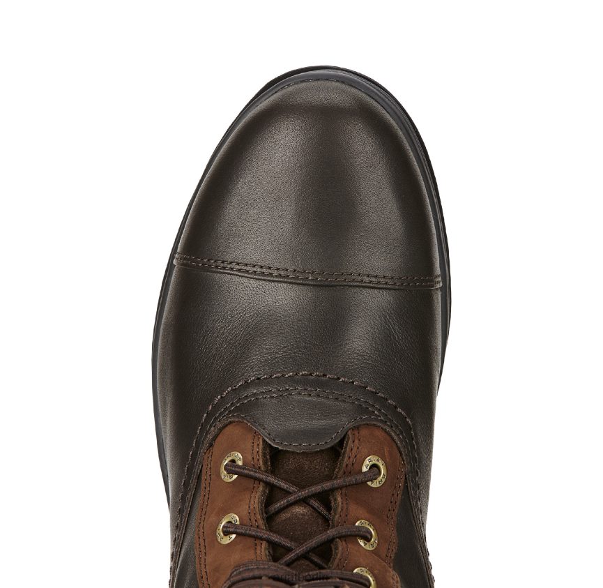 Ariat Coniston Pro Gore-Tex isolierter Stiefel Frauen P4JJPR2336 Ebenholz Schuhwerk