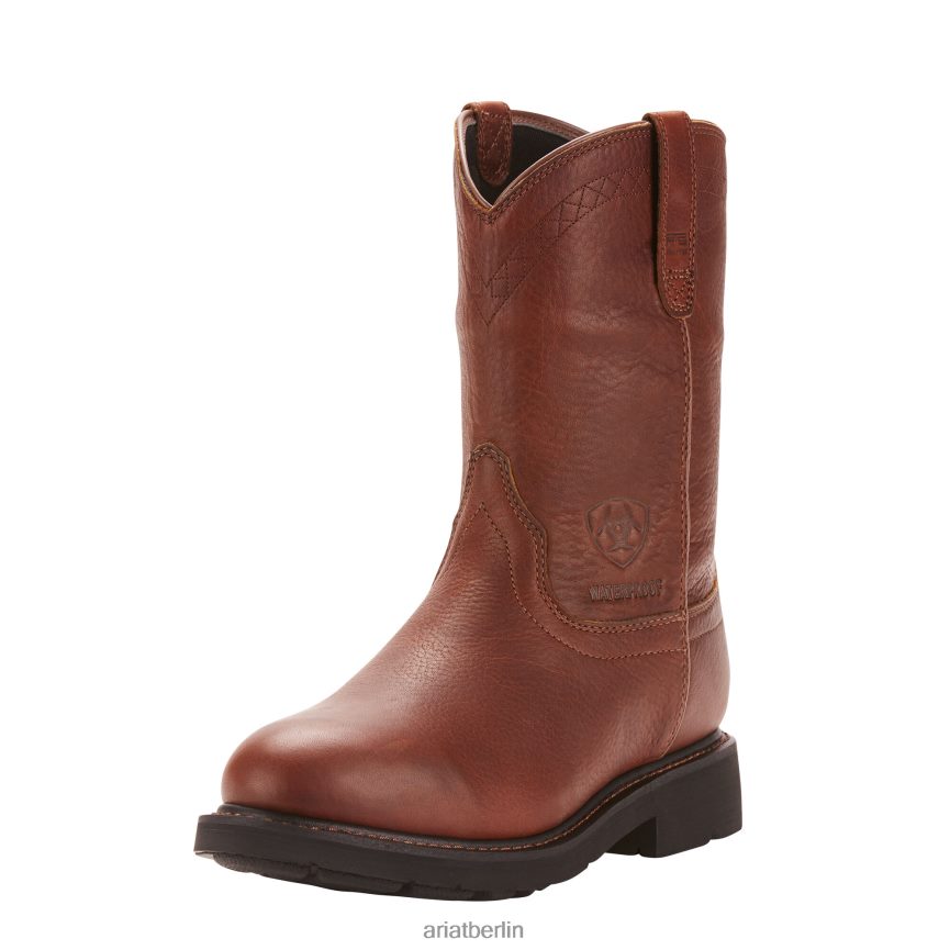Ariat Sierra wasserdichter Arbeitsstiefel Männer P4JJPR314 Sonnenschein Schuhwerk