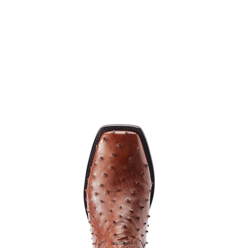 Ariat Bassett Männer P4JJPR162 Bourbon-Vollkiel-Strauß Schuhwerk