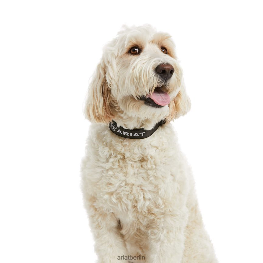 Ariat Hundehalsband unisex P4JJPR2007 Schwarz/Bewehrungsgrau Zubehör