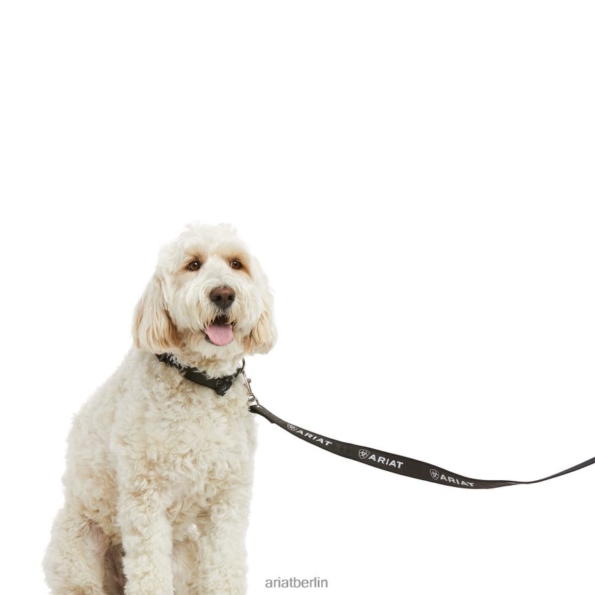 Ariat Hundeleine unisex P4JJPR2013 Schwarz/Bewehrungsgrau Zubehör
