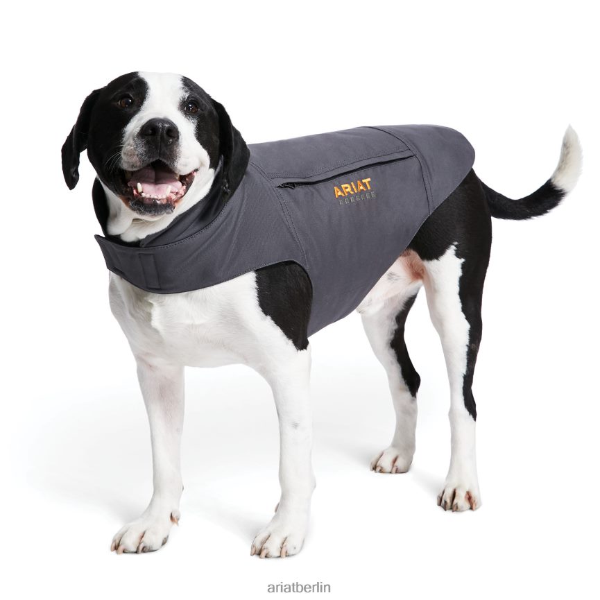 Ariat Isolierte Hundejacke aus Rebar-Duracanvas unisex P4JJPR2010 Bewehrungsstahl grau Zubehör