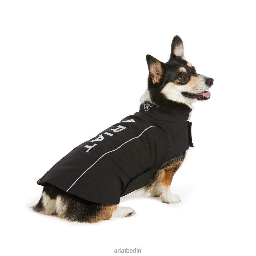 Ariat Team-Softshell-Hundejacke unisex P4JJPR2008 Schwarz Zubehör