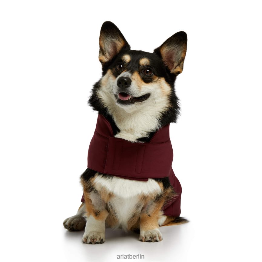 Ariat Team-Softshell-Hundejacke unisex P4JJPR2011 Windsor-Wein Zubehör